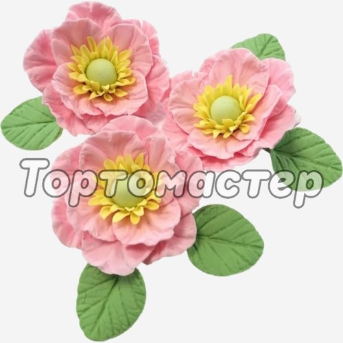 Украшение кондитерское из мастики "Анемоны" 60 г 
