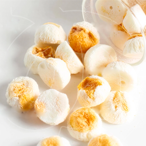 Манго сублимированный Шарики в йогурте 50 г 00038