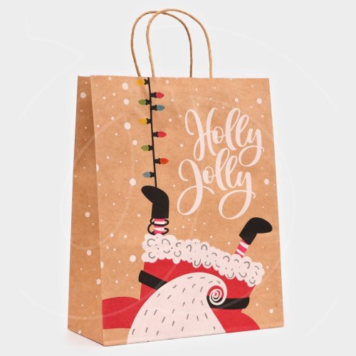 Пакет бумажный "Гирлянда" 33х26х12 см 10500685