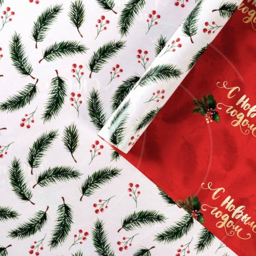 Бумага упаковочная двухсторонняя "Новогодние ветви" 70х100 см 5120285