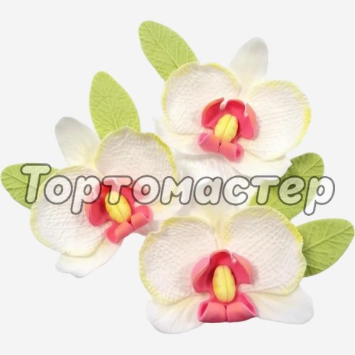 Украшение кондитерское из мастики "Орхидеи" 55 г 