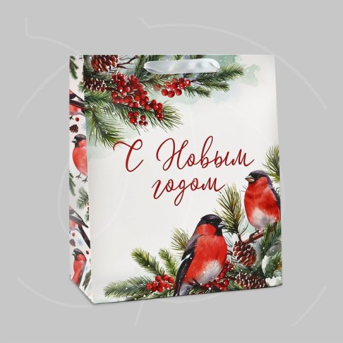 Пакет бумажный "С Новым годом" 23х27х11,5 см 10348949